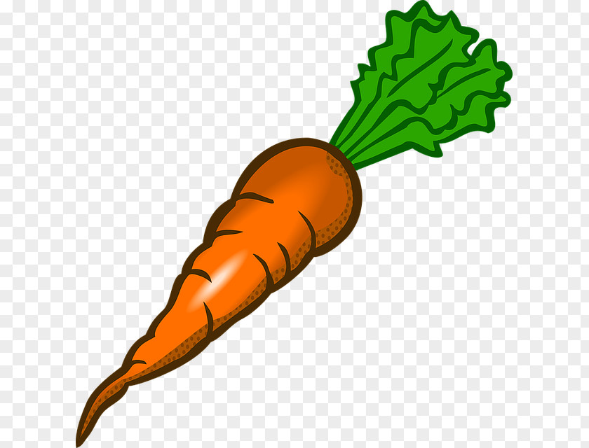 Organic Carrots Juice Carrot Vegetable Clip Art PNG