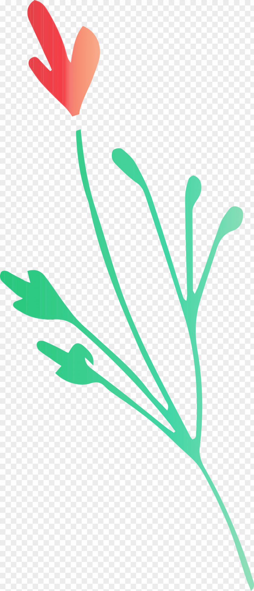 Plant Stem Leaf Green Line Meter PNG