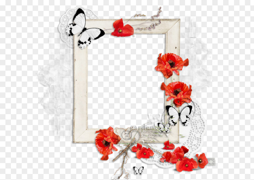 Rose Floral Design Cut Flowers Family Picture Frames PNG