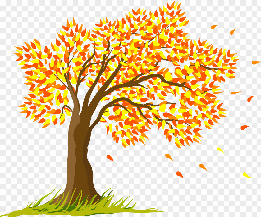 Tree Drawing Season Clip Art PNG