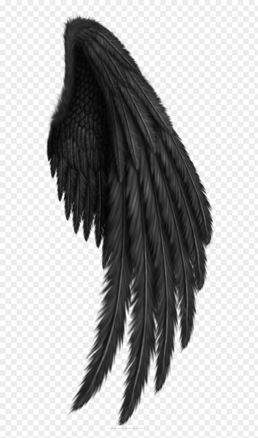 Wings Drawing Clip Art PNG