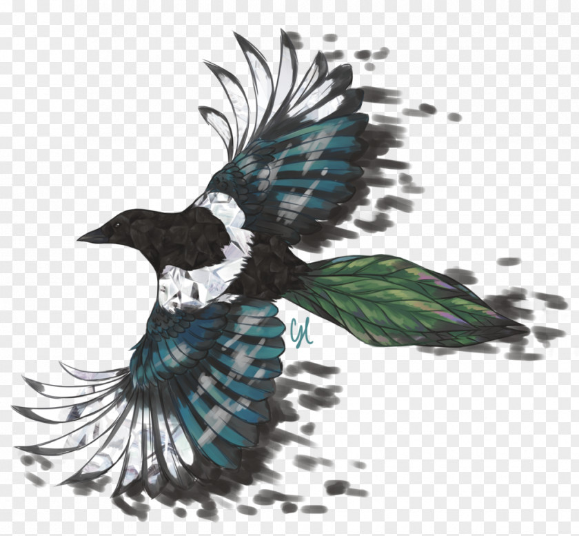 Bird Beak Fauna Feather Crow PNG
