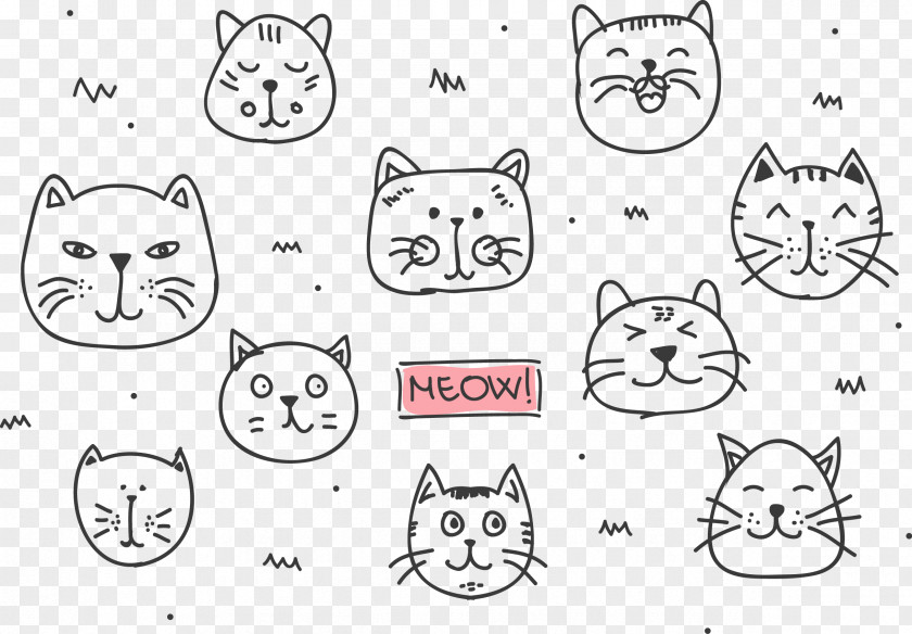 Cartoon Cat Head Whiskers Illustration PNG