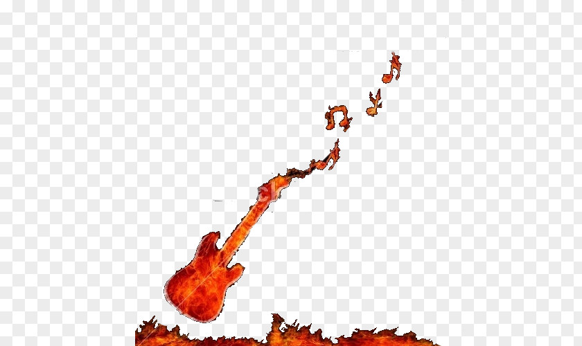 Electric Guitar Flame Photography Illustration PNG