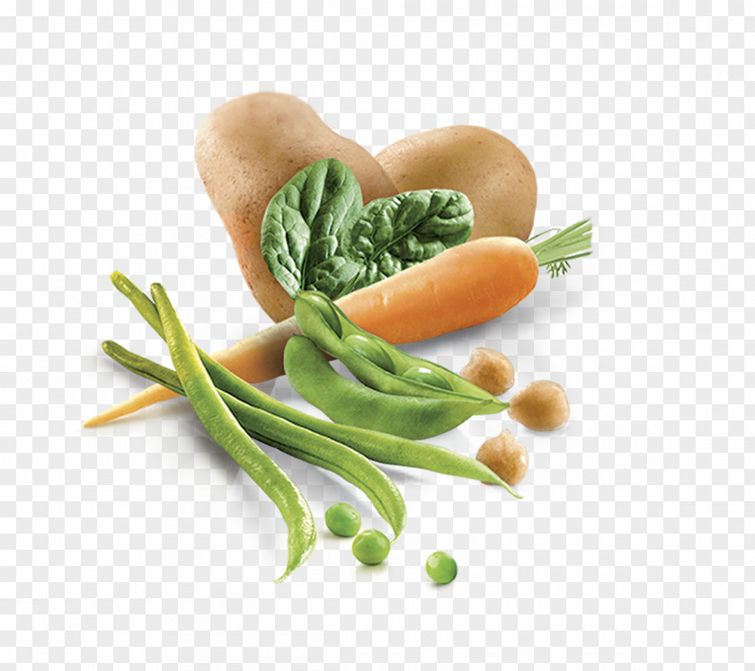 Frozen Non Veg Leaf Vegetable Vegetarian Cuisine Diet Food Recipe PNG