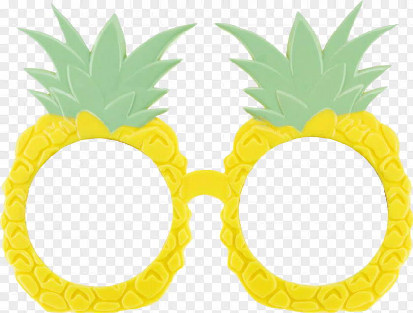 Summer Fun Frame Pineapple Image Photograph Video Clip Art PNG