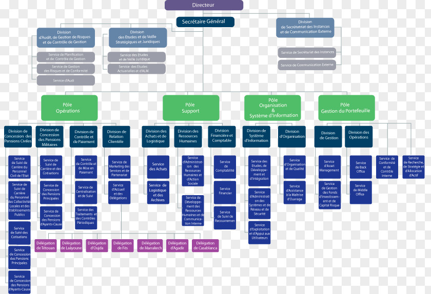 Totalhelpline Caisse Marocaine De Retraite Organizational Chart Rabat Retirement PNG