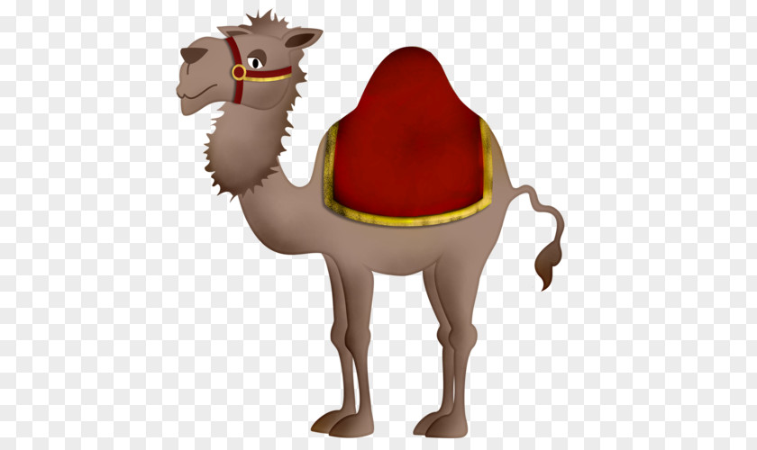 Animation Livestock Sound Camel PNG