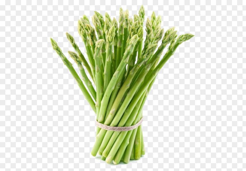Common Edible Weeds Asparagus Mary Washington Vegetarian Cuisine Vegetable Roots PNG