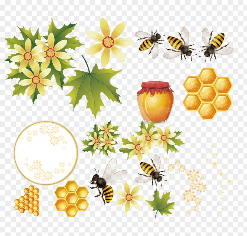 Hand Drawn Bee Western Honey Beehive Vector Graphics PNG