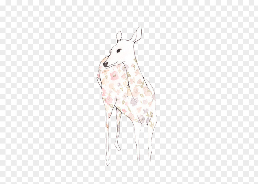 Hand-painted Deer Giraffe Reindeer Horse Hare Fauna PNG