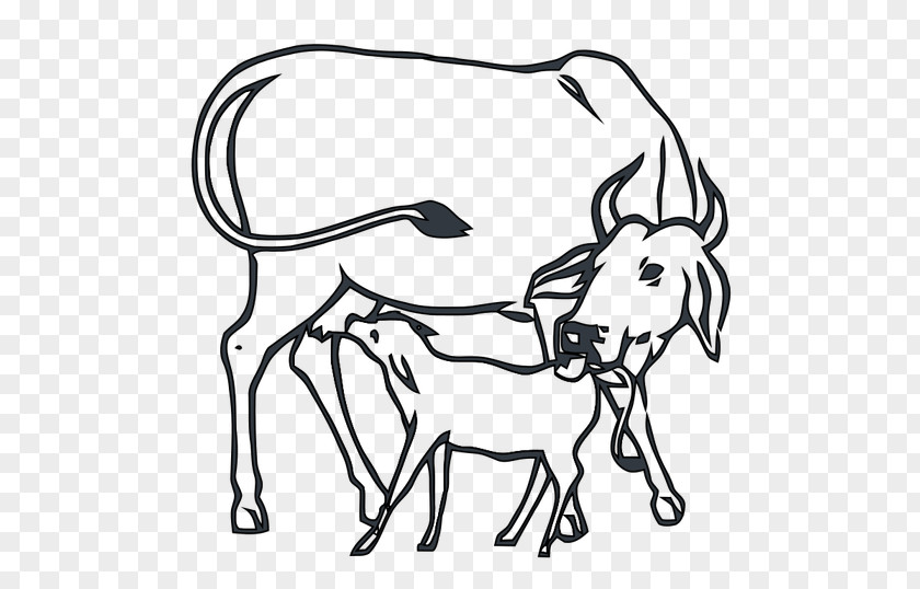 India Cow-calf Operation Indian National Congress Beef Cattle PNG
