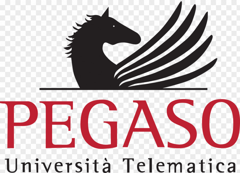 Laurea Università Degli Studi Pegaso University Of Turin Fernuniversität Higher Education PNG