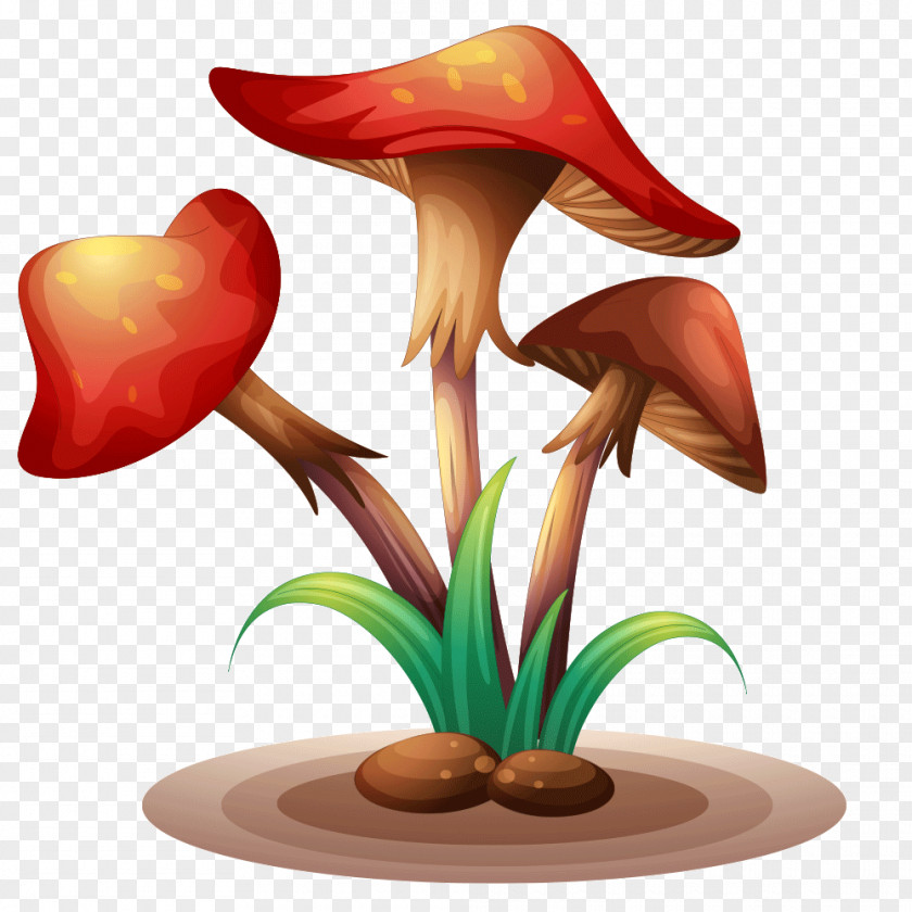 Mushroom Vector Graphics Royalty-free Stock Photography Illustration Shutterstock PNG