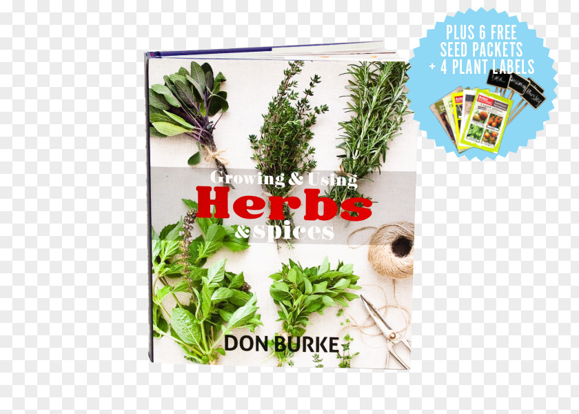 Vegetable Herbalism Plant Tree PNG