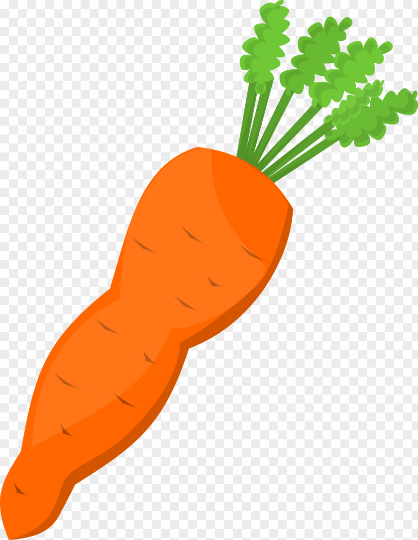 Carrot Cliparts Vegetable Clip Art PNG