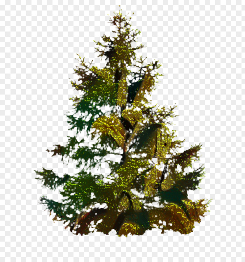 Juniper Christmas Decoration Black And White PNG