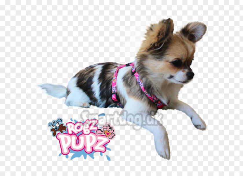 Puppy Chihuahua Dog Breed Companion Toy PNG