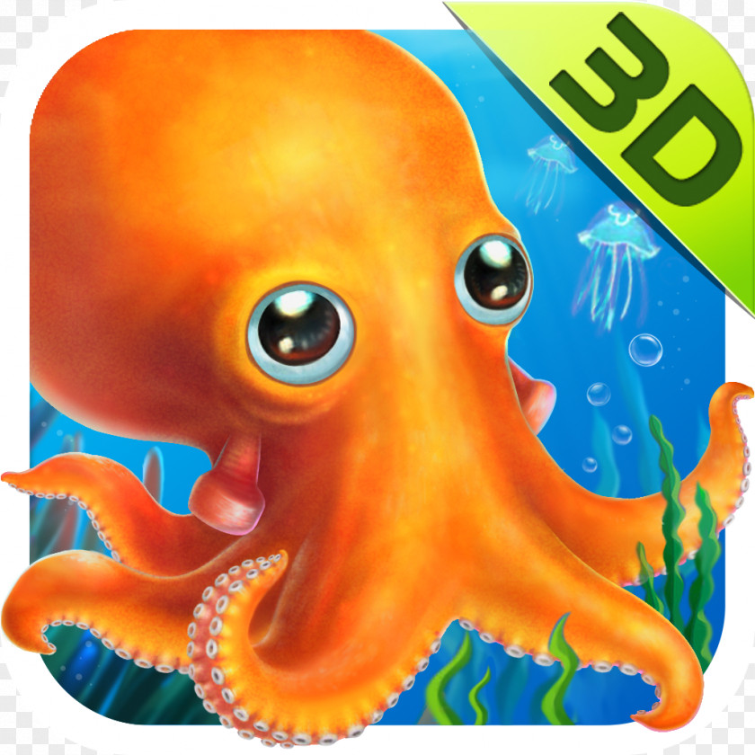 Under The Sea Octopus Marine Invertebrates Biology Cephalopod PNG