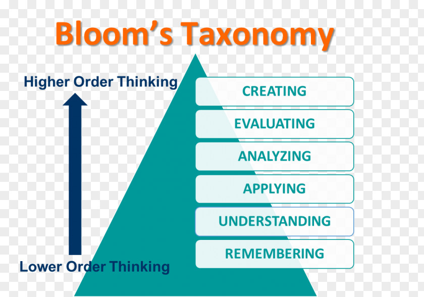 Admiralty Law Advocate Bloom's Taxonomy Person PNG