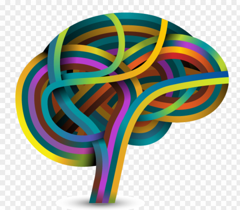 Brain Neuroscience Learning PNG