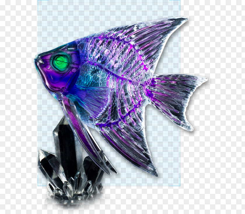 Double Layer Puzzle Megahouse Angelfish Layers Mega Toy PNG