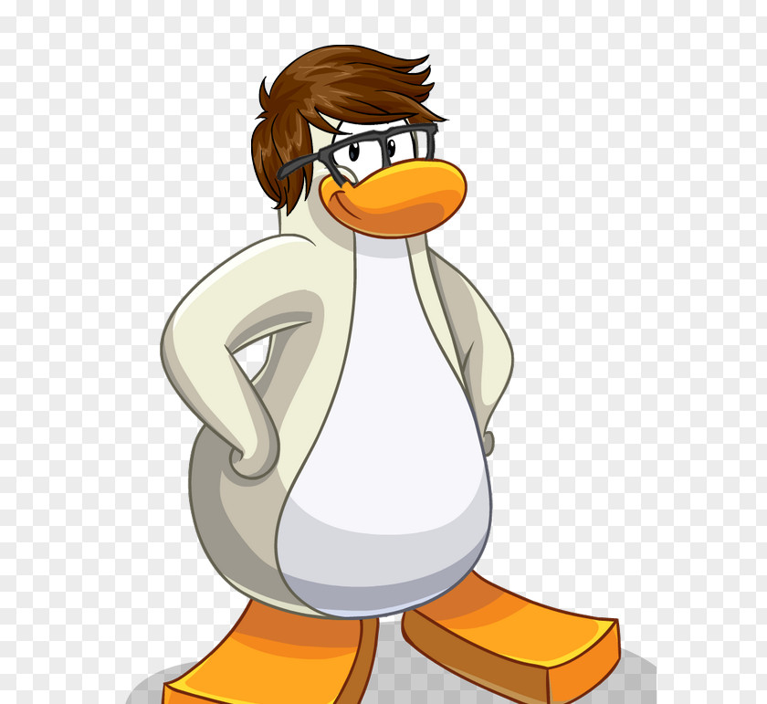 Night Club Penguin Game Razorbills Blog PNG