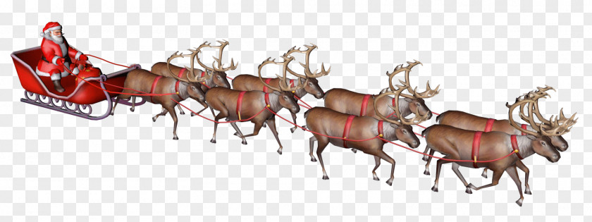 Reindeer Santa Claus Christmas Tree Gfycat PNG