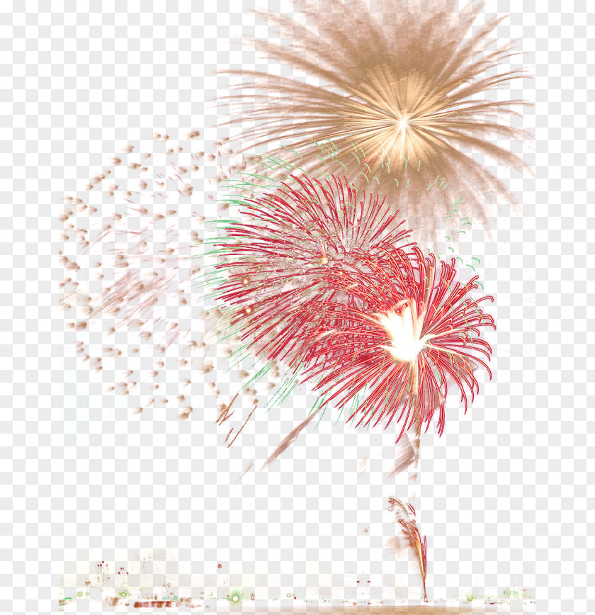 Fireworks Explosion Firecracker New Year PNG
