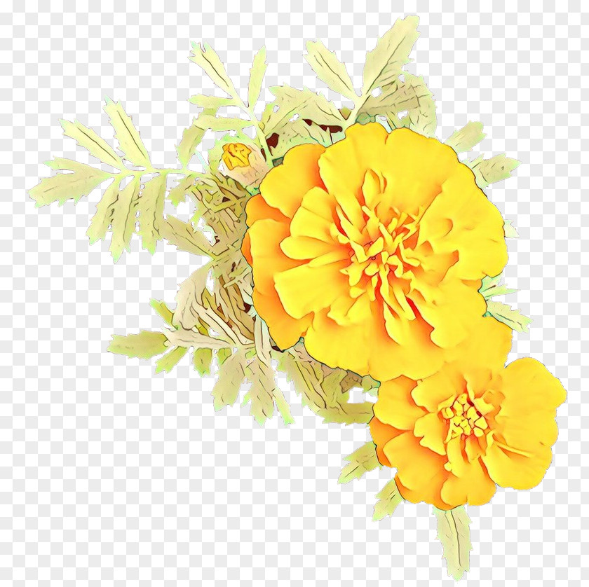 Flowering Plant Cut Flowers Yellow Flower Tagetes Petal PNG