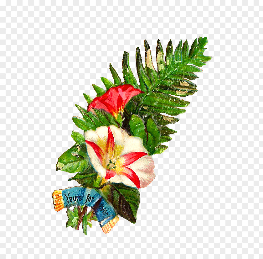 Graphic Flower Images Bouquet Clip Art PNG