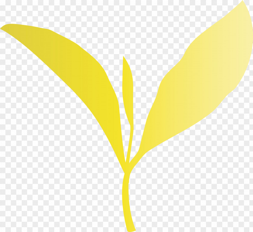 Leaf Yellow Plant Flower Tree PNG