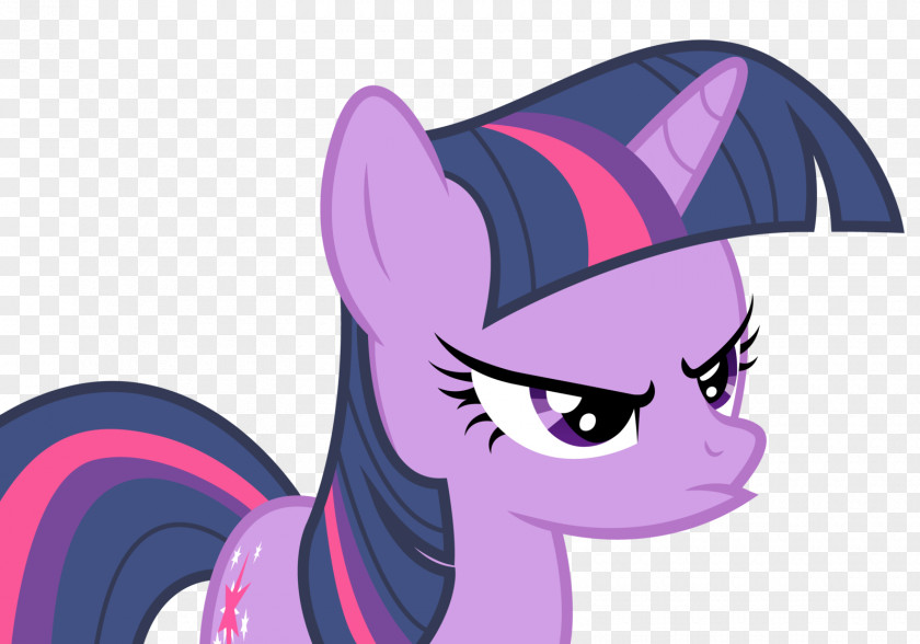 Twilight Sparkle Pony Derpy Hooves Pinkie Pie Rarity PNG