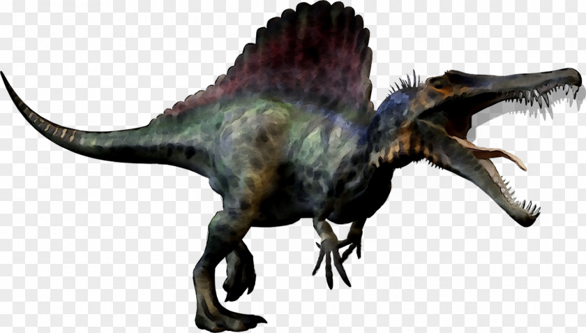 Tyrannosaurus Dinosaur Size Transparency PNG