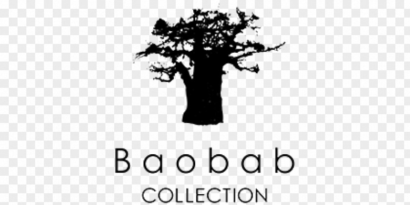 Baobab Collection All Seasons Scented Candle Sa PNG