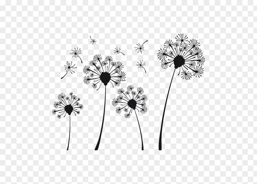 Dandelion Coffee Common Photography PNG