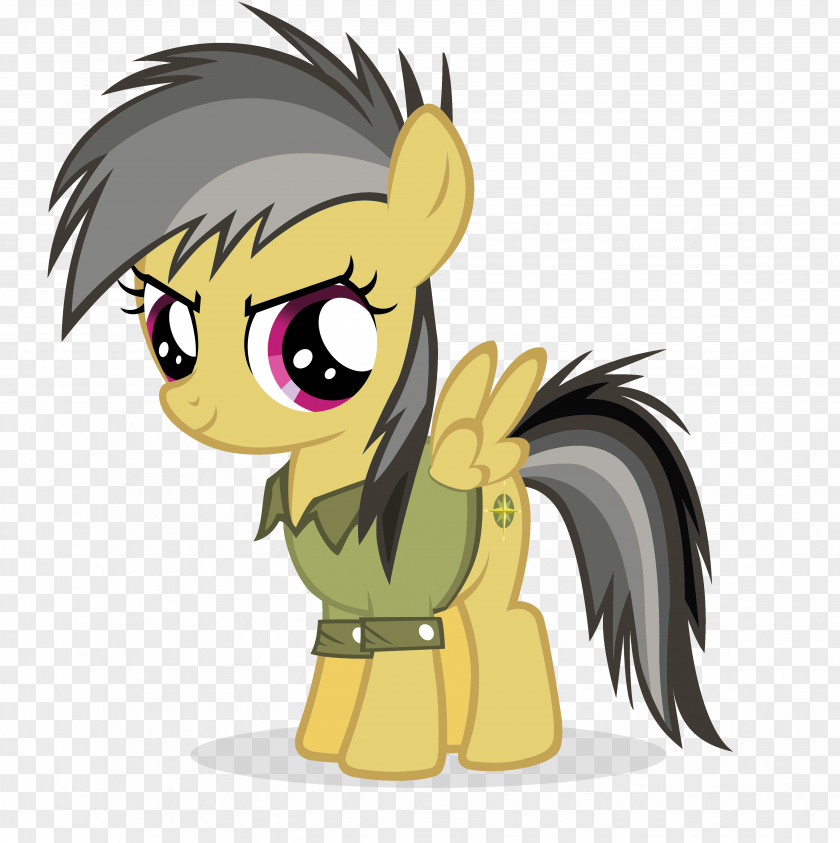 My Little Pony Rainbow Dash Pinkie Pie Derpy Hooves Rarity PNG