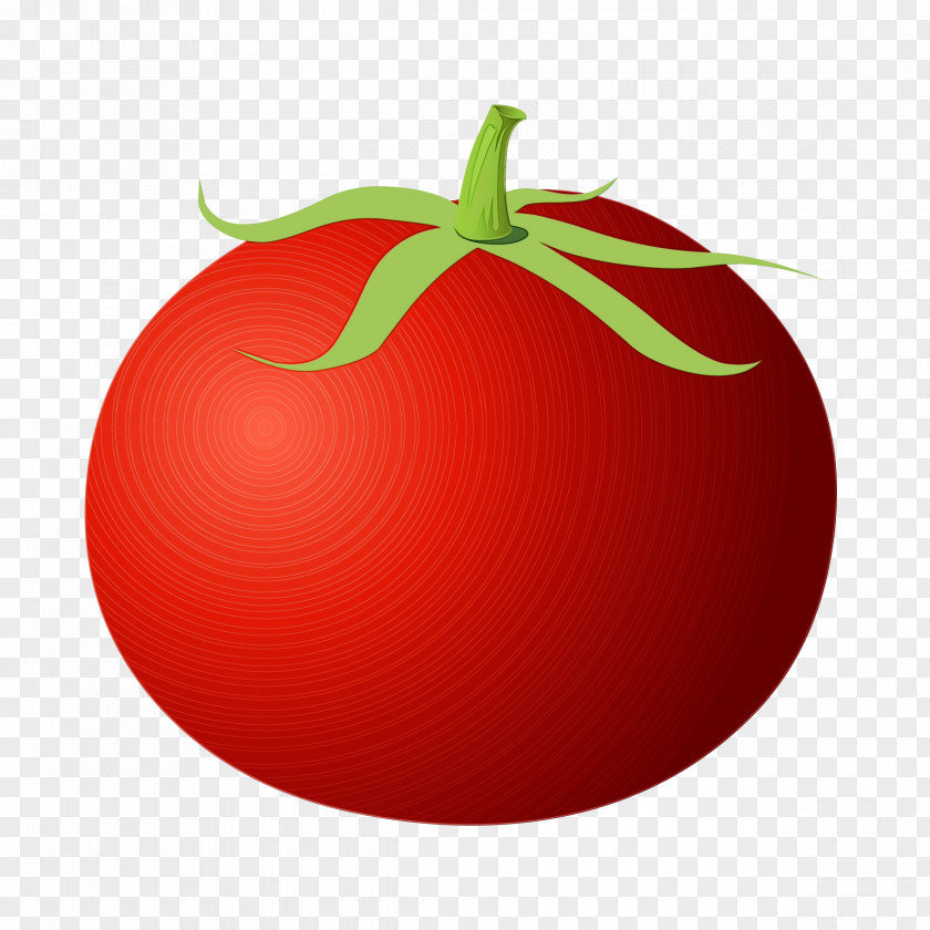 Nightshade Family Food Tomato Cartoon PNG