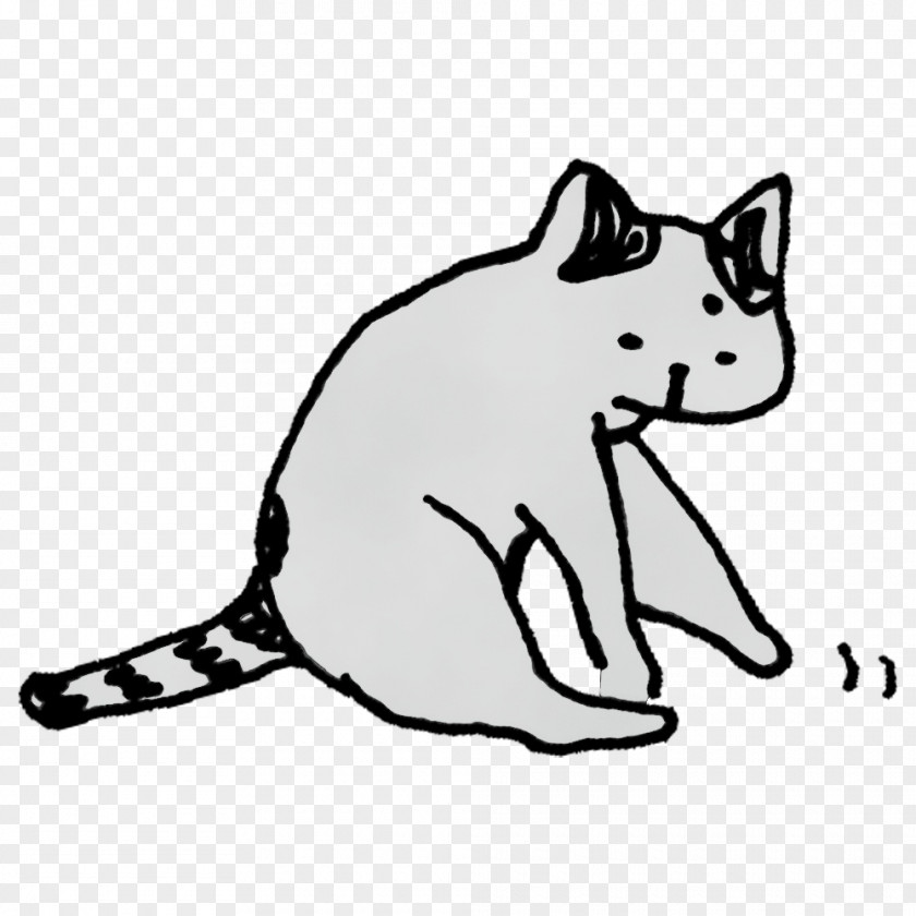 Whiskers Kitten Cat Dog Snout PNG