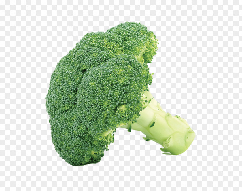 Broccoli Slaw Vegetable Cauliflower Clip Art PNG