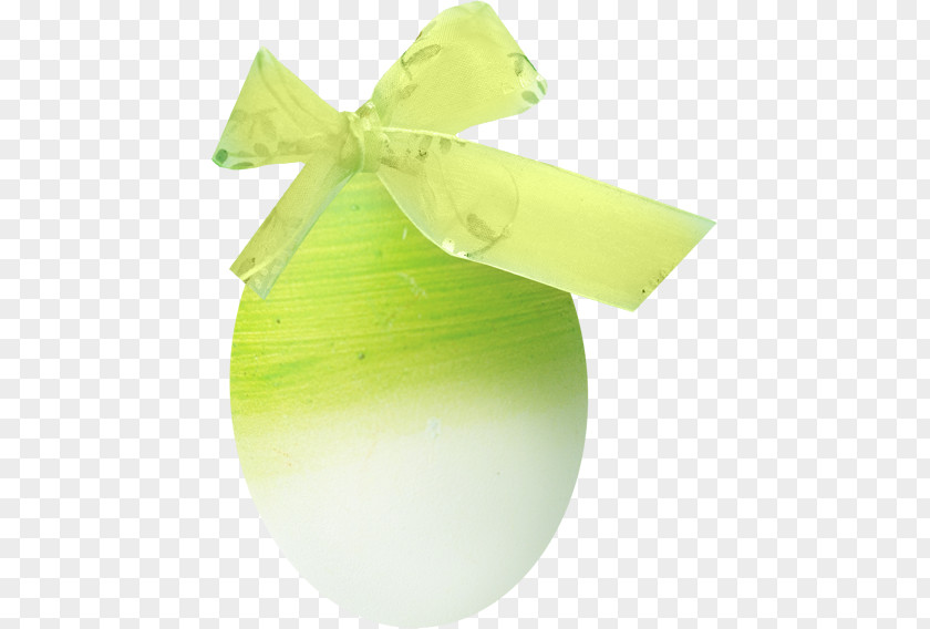 Green Bow Ribbon Egg Fruit PNG