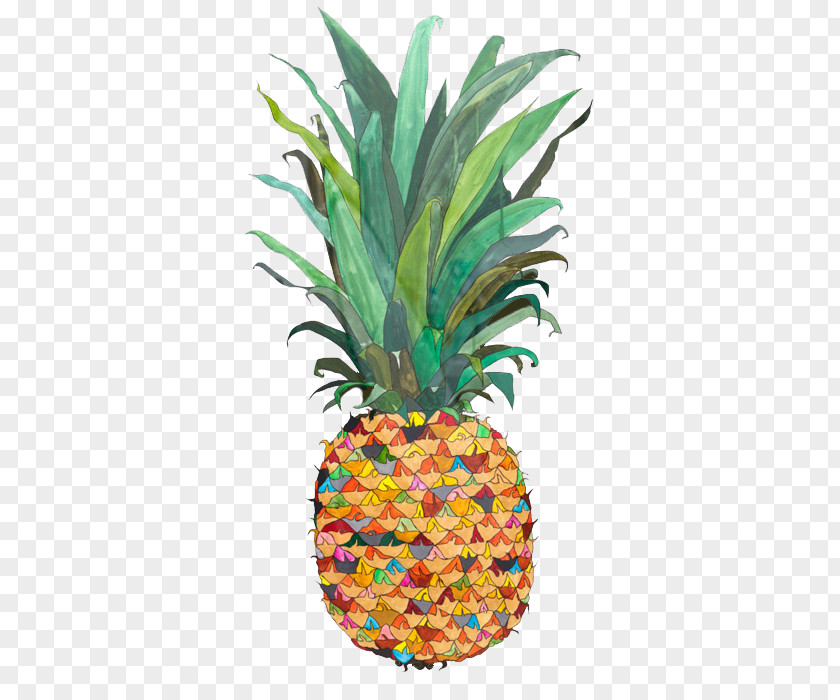 Pineapple Drawing Watercolor Painting Illustration PNG