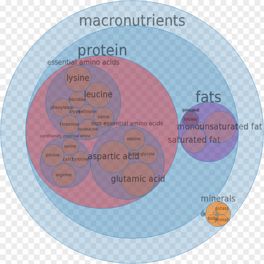 Popcorn Essential Amino Acid Mineral Amine PNG