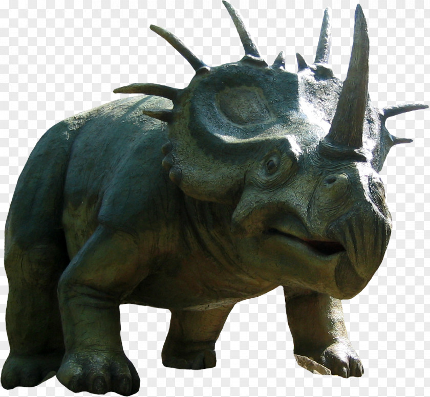 Rhino Rhinoceros Dinosaur Triceratops Bird Clip Art PNG