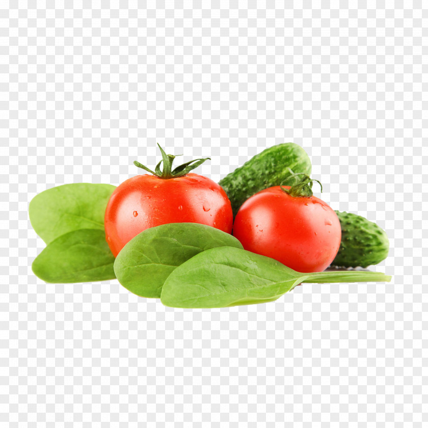 Tomato Juicer Vegetable PNG