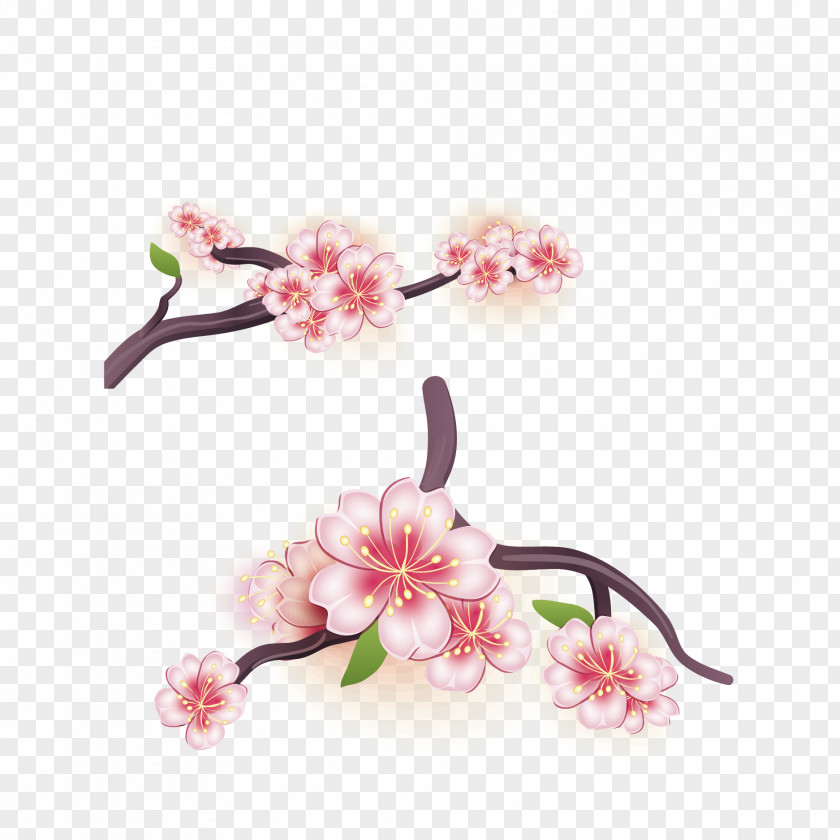 Vector Japanese Cherry Blossoms Blossom Flower PNG