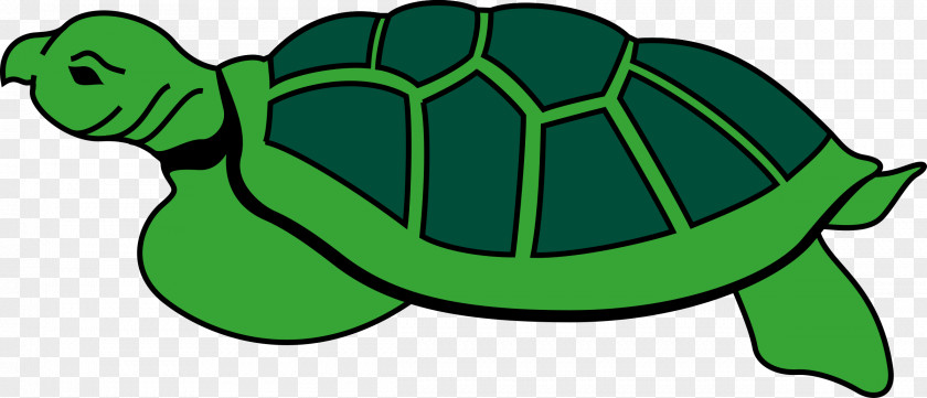 Drawing Turtle Reptile Clip Art PNG
