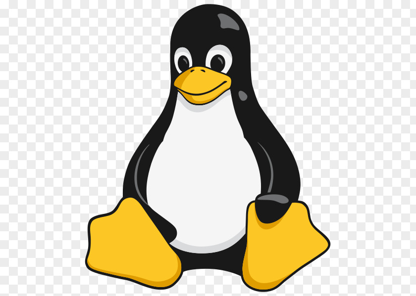 Linux Tux Racer Penguin Foundation PNG