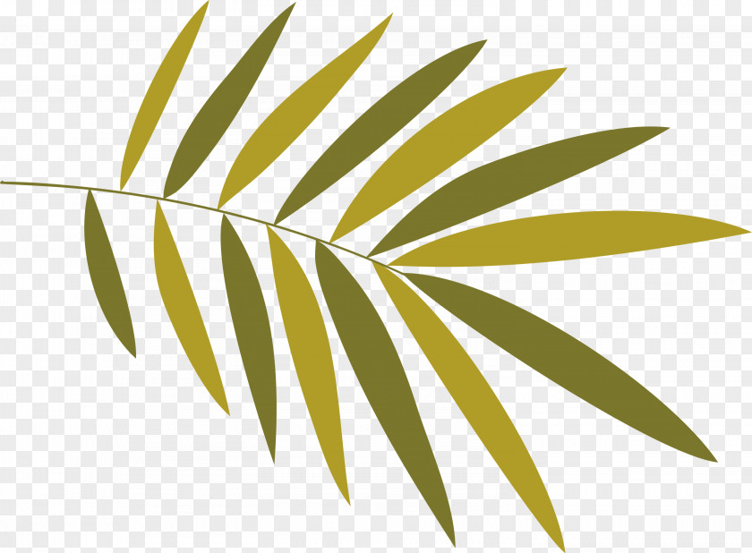 Plant Stem Branch Leaf Grasses Font PNG