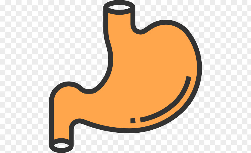 Tummy PNG